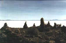 Cactus et apachetas sur l'le Pescado dans le Salar.